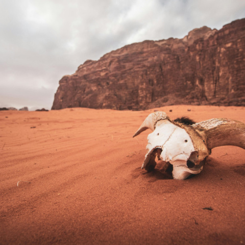 Wadi Rum