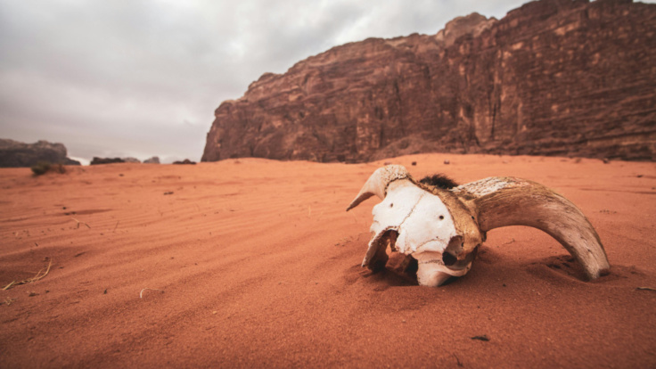 Wadi Rum